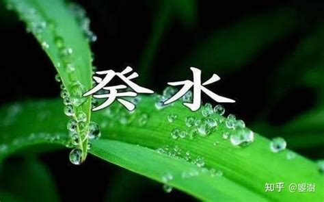 癸水命|癸水命